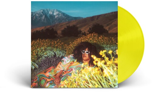 Brittany Howard: What Now { Vinyl }