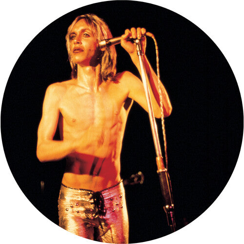Iggy & The Stooges: More Power { Vinyl }