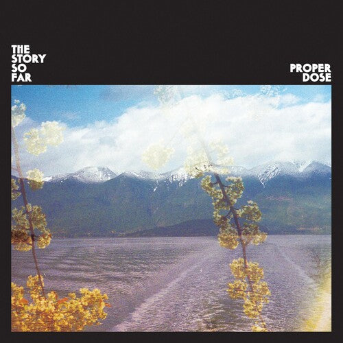 The Story So Far: Proper Dose { Vinyl }