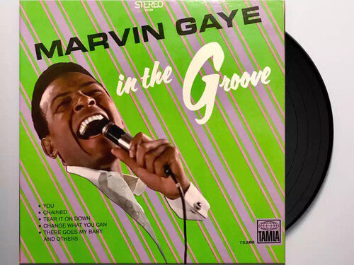 Marvin Gaye: In The Groove { Vinyl }
