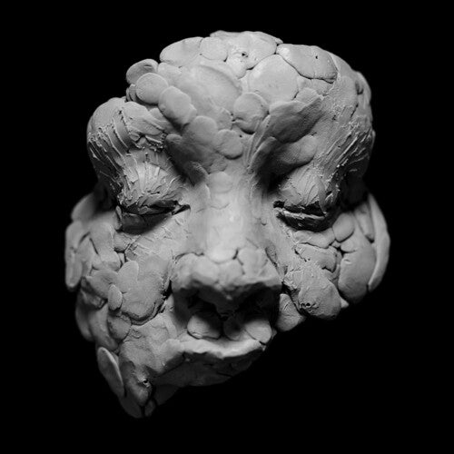 Joy Oladokun: Observations From A Crowded Room { Vinyl }