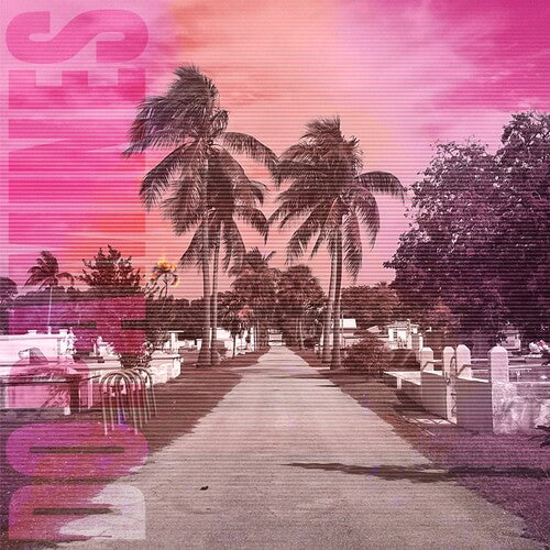 The Dopamines: 80/20 { Vinyl }