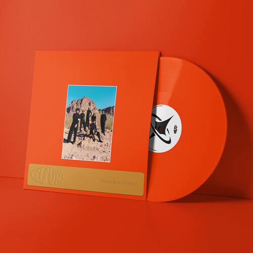 Leisure: Welcome to the Mood { Vinyl }