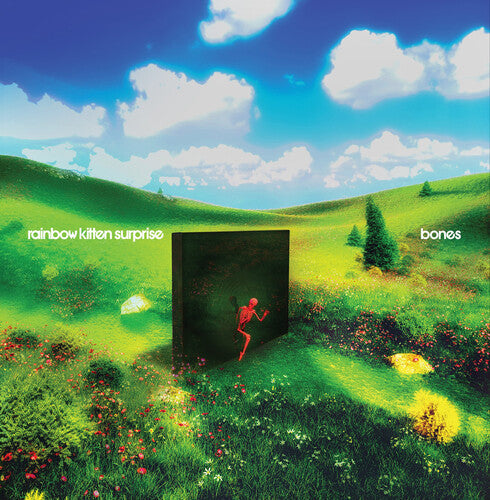 Rainbow Kitten Surprise: bones (Black Vinyl) { Vinyl }
