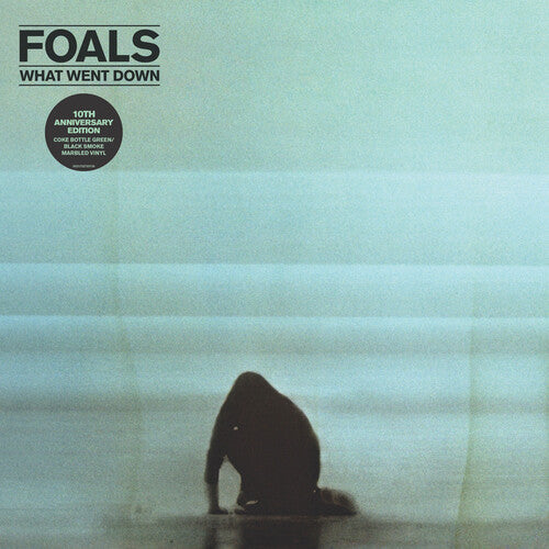 Foals: What Went Down { Vinyl }