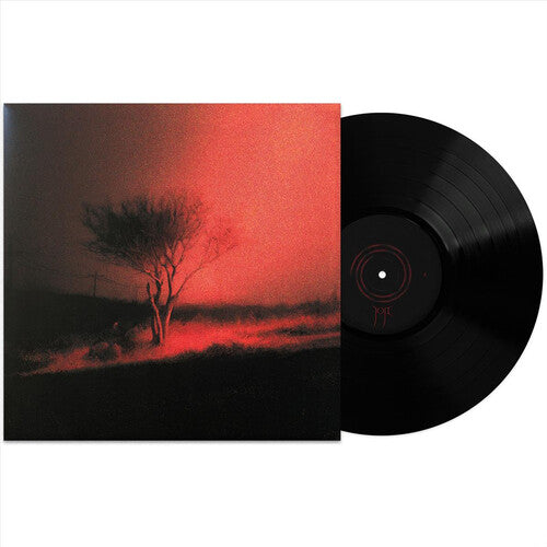 Joji: Piss In The Wind { Vinyl }