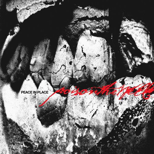 Poison the Well: Peace In Place { Vinyl }
