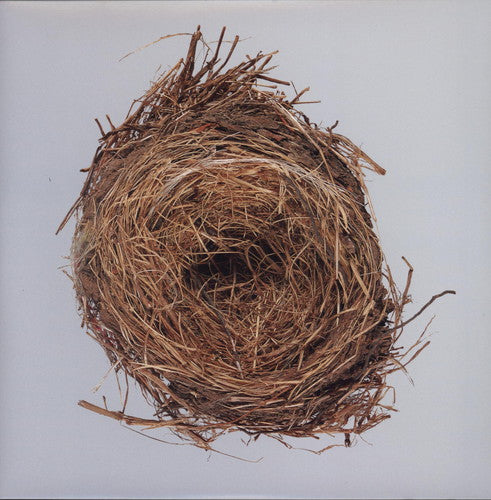 Wilco: A Ghost Is Born { Vinyl }