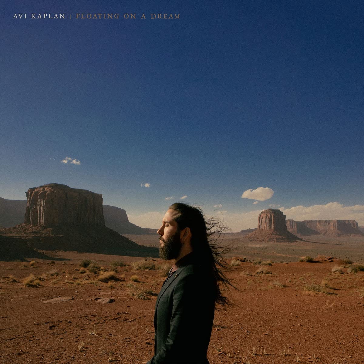 Avi Kaplan: Floating On A Dream { Vinyl }