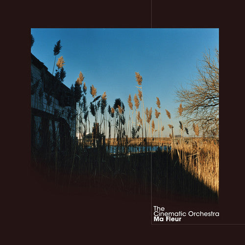 The Cinematic Orchestra: Ma Fleur { Vinyl }