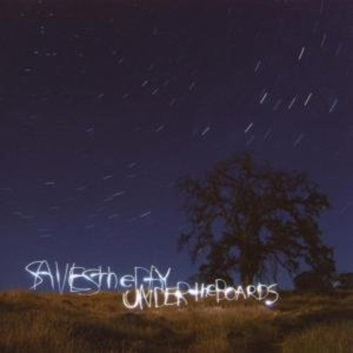 Saves the Day: Under the Boards { Vinyl }