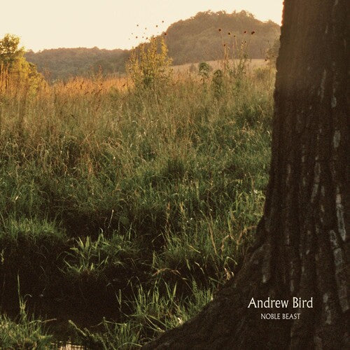 Andrew Bird: Noble Beast { Vinyl }