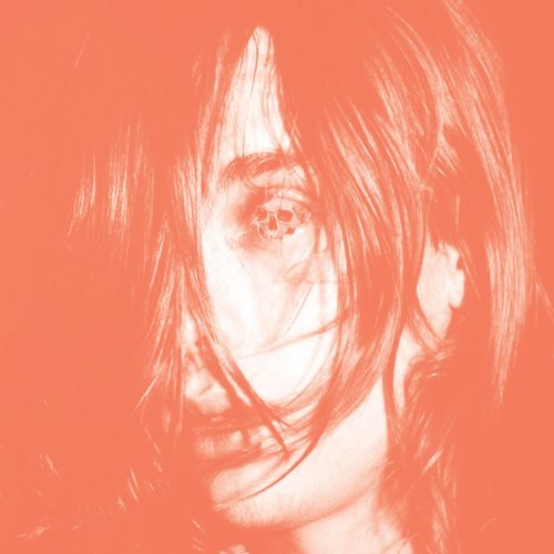 Deerhunter: Microcastle { Vinyl }