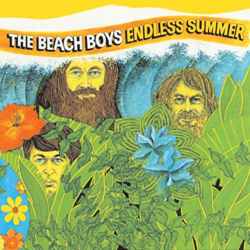 The Beach Boys: Endless Summer { Vinyl }