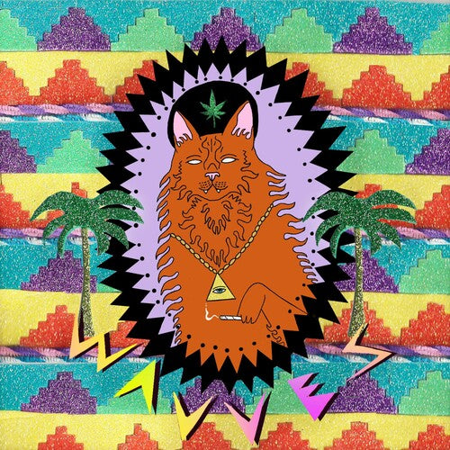 Wavves: King of the Beach { Vinyl }