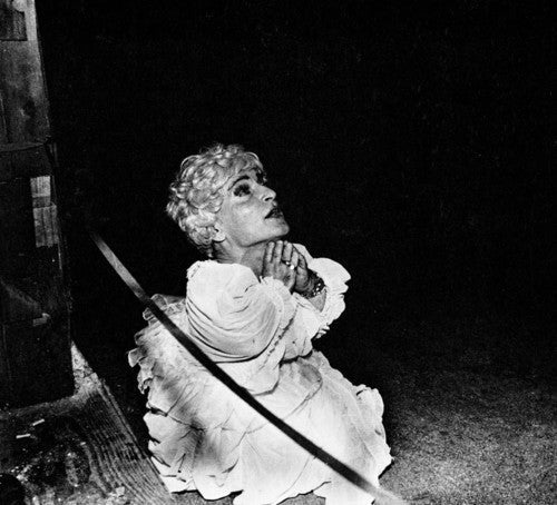 Deerhunter: Halcyon Digest { Vinyl }
