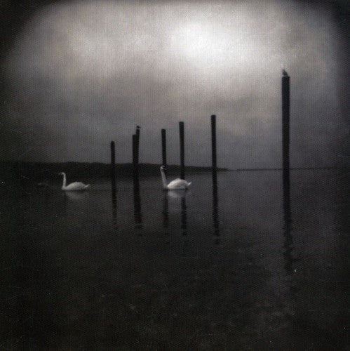 Om: Conference of the Birds { Vinyl }