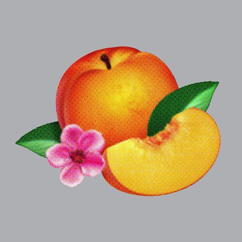Phoenix: Bankrupt { Vinyl }