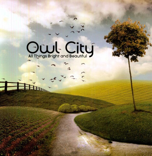 Owl City: All Things Bright and Beautiful { Vinyl }