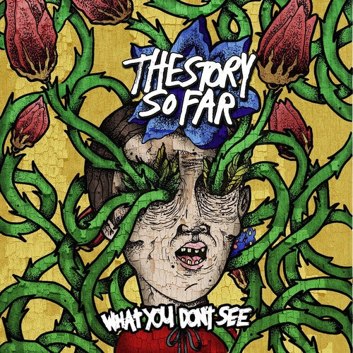 The Story So Far: What You Don't See { Vinyl }