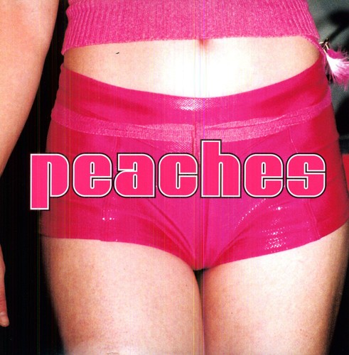 Peaches: The Teaches Of Peaches { Vinyl }