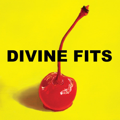 Divine Fits: A Thing Called Divine Fits { Vinyl }