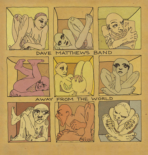 Dave Matthews: Away from the World { Vinyl }