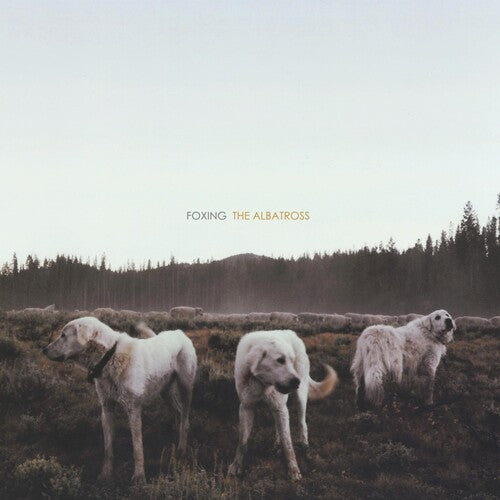 Foxing: Albatross { Vinyl }
