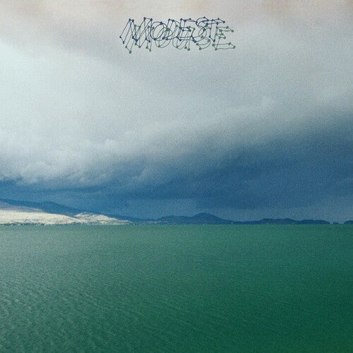 Modest Mouse: Fruit That Ate Itself { Vinyl }