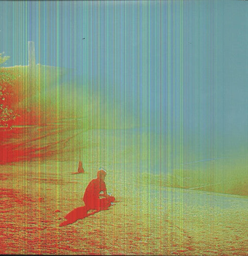 The Flaming Lips: The Terror { Vinyl }