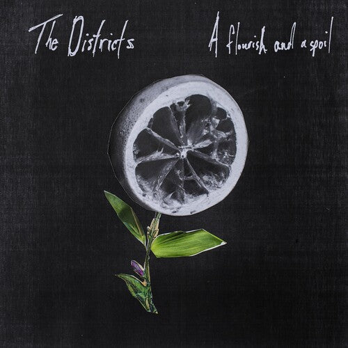 The Districts: Flourish and a Spoil { Vinyl }