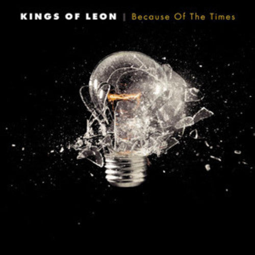 Kings of Leon: Because of the Times { Vinyl }