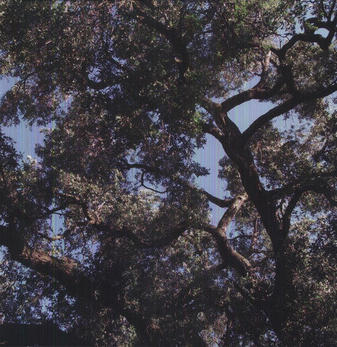 Charles Manson: Trees { Vinyl }