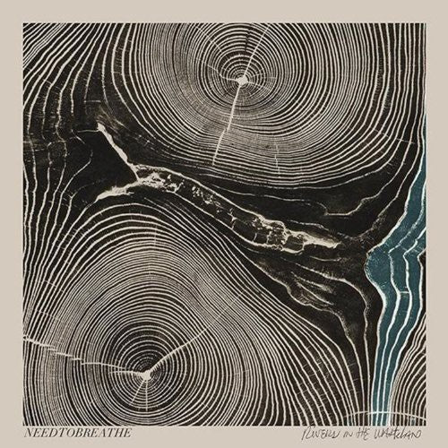 Needtobreathe: Rivers in the Wasteland { Vinyl }