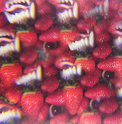 Thee Oh Sees: Floating Coffin { Vinyl }