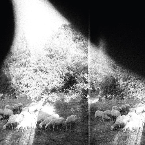 Godspeed You! Black Emperor: Asunder Sweet & Other Distress { Vinyl }