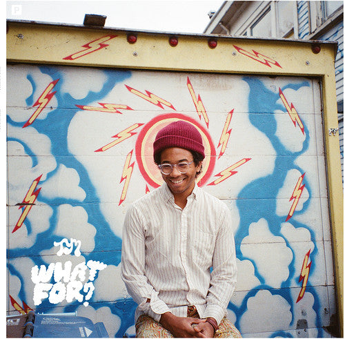 Toro y Moi: What for { Vinyl }