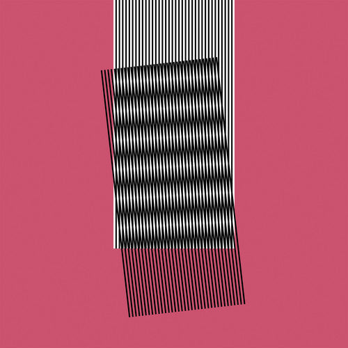 Hot Chip: Why Make Sense { Vinyl }