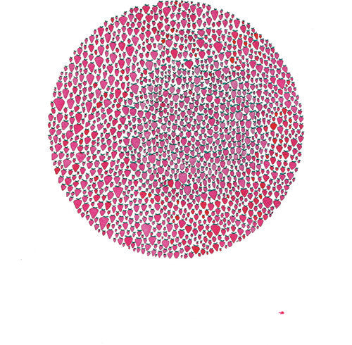 Julia Brown: An Abundance of Strawberries { Vinyl }