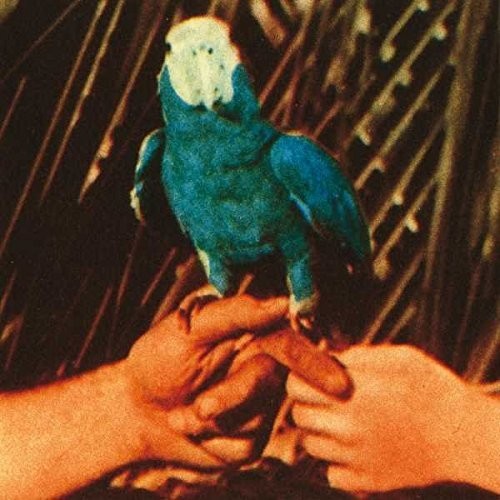 Andrew Bird: Are You Serious { Vinyl }