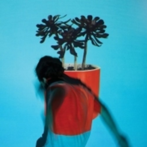 Local Natives: Sunlit Youth { Vinyl }