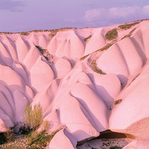 Autechre: Amber { Vinyl }