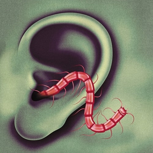 Thee Oh Sees: An Odd Entrances { Vinyl }