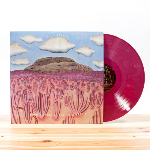 Post Animal: When I Think Of You In A Castle ( { Vinyl }