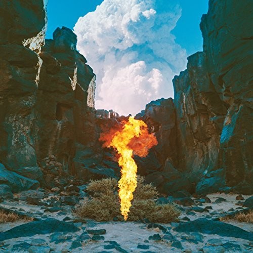 Bonobo: Migration { Vinyl }