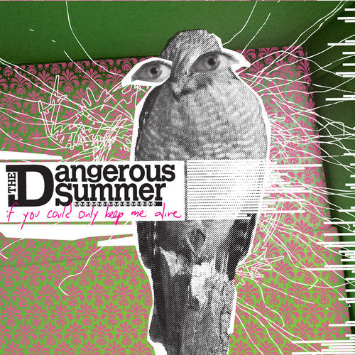 The Dangerous Summer: If You Could Only Keep Me Alive { Vinyl }
