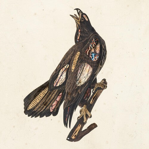 Clutch: Book Of Bad Decisions { Vinyl }