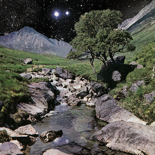 The Beta Band: The Beta Band { Vinyl }