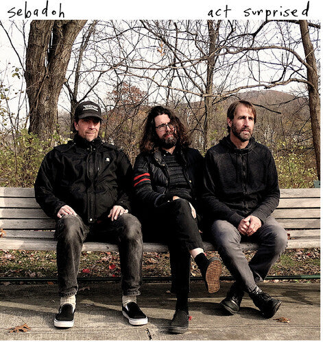 Sebadoh: Act Surprised { Vinyl }