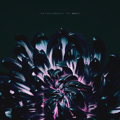 The Contortionist: Our Bones { Vinyl }